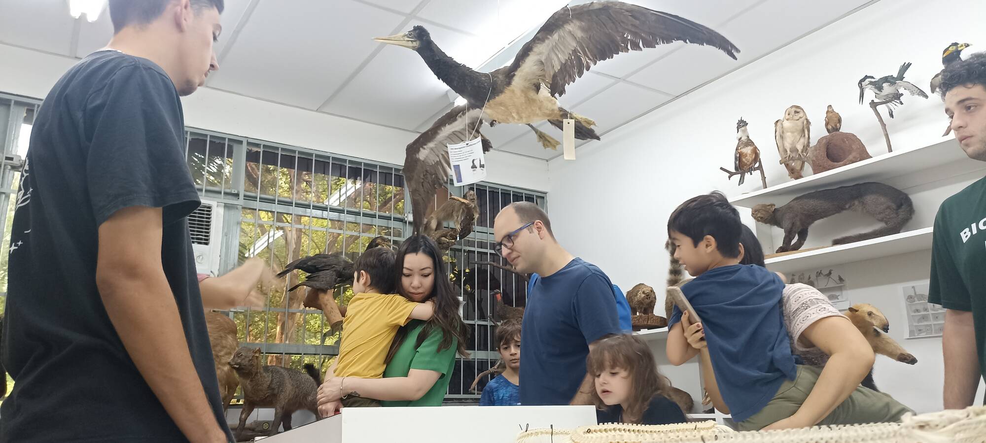 Cavalo Marinho - Biologia Enem