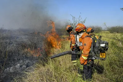 This handout photo released by the Mato Grosso do Sul Government shows firefighters battling to control a wildfire at Pantanal Biome, in the region of Corumba, Mato Grosso do Sul State, Brazil on June 23, 2024. (Photo by Handout / Mato Grosso do Sul State Government / AFP) / RESTRICTED TO EDITORIAL USE - MANDATORY CREDIT "AFP PHOTO / Mato Grosso so Sul Government " - NO MARKETING NO ADVERTISING CAMPAIGNS - DISTRIBUTED AS A SERVICE TO CLIENTS