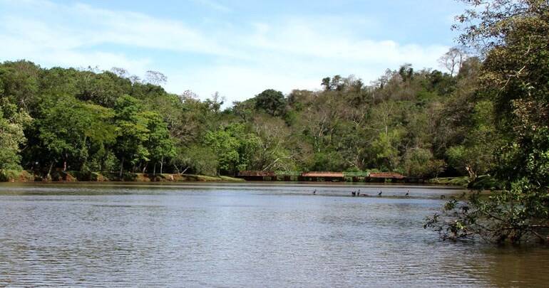 Parque Arthur Thomas realiza enquete para escolher nome da 'Capivara