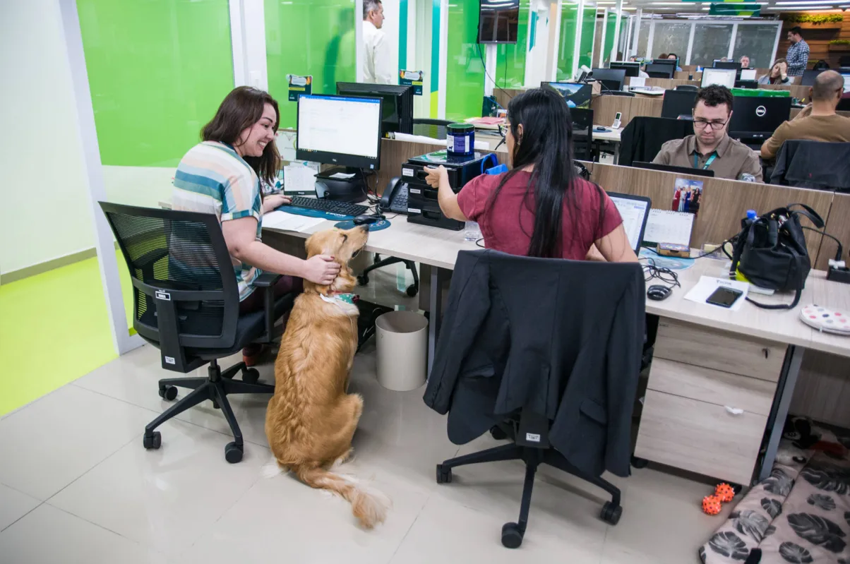 Empresas investem em ambientes de trabalho diferenciados