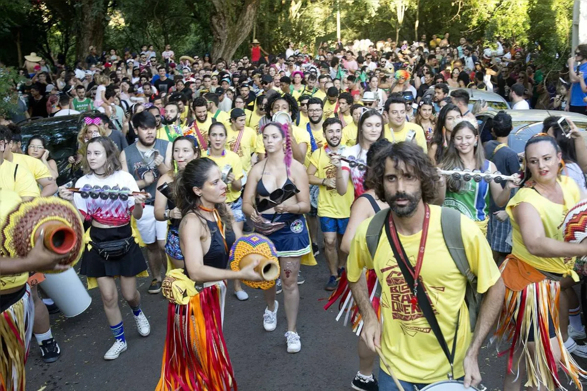 Carnaval politizado : r/brasil