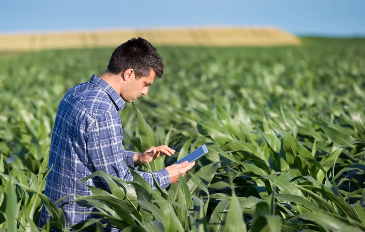 UM AGRICULTOR, BUSCANDO O AUMENTO DA PRODUTIVIDADE DE SUA