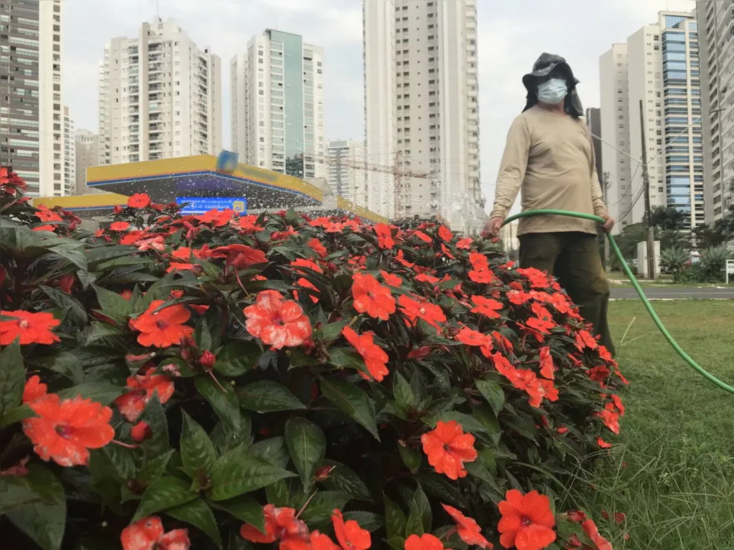 Enviando Flores A Mi Terra