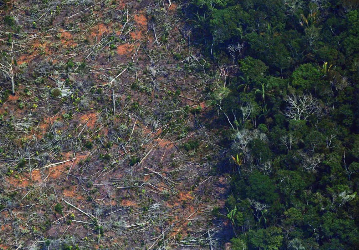 Crise climática: seca severa na Amazônia é agravada por desmatamento e fogo