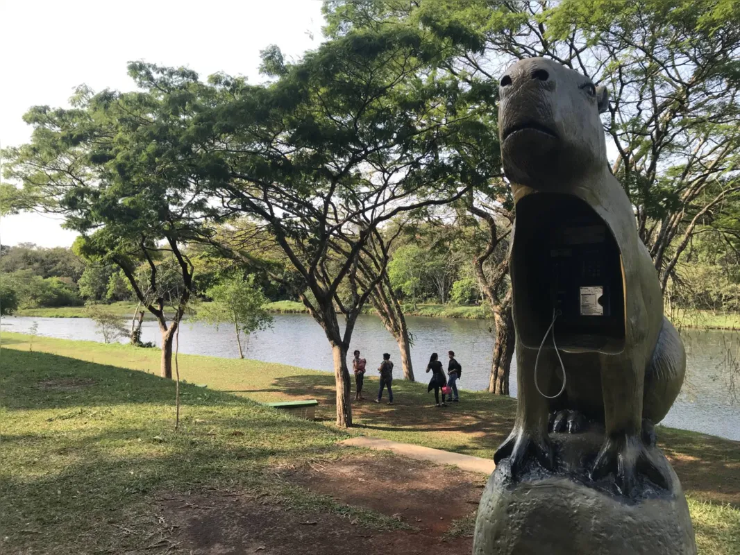 Parque Arthur Thomas realiza enquete para escolher nome da 'Capivara