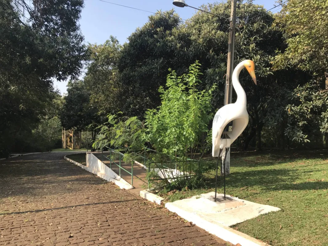 Parque Arthur Thomas realiza enquete para escolher nome da 'Capivara