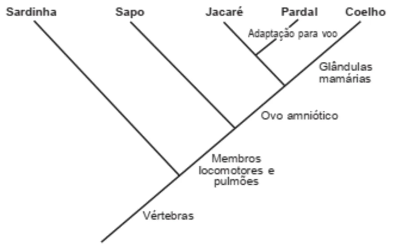 Nomes das partes de um carro em inglês - PrePara ENEM