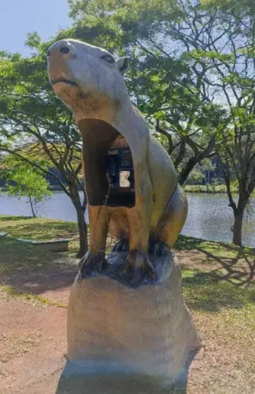 Parque Arthur Thomas realiza enquete para escolher nome da 'Capivara